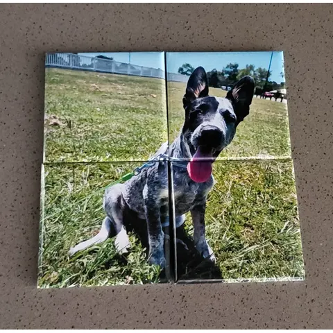4-piece Magnetic Puzzle set